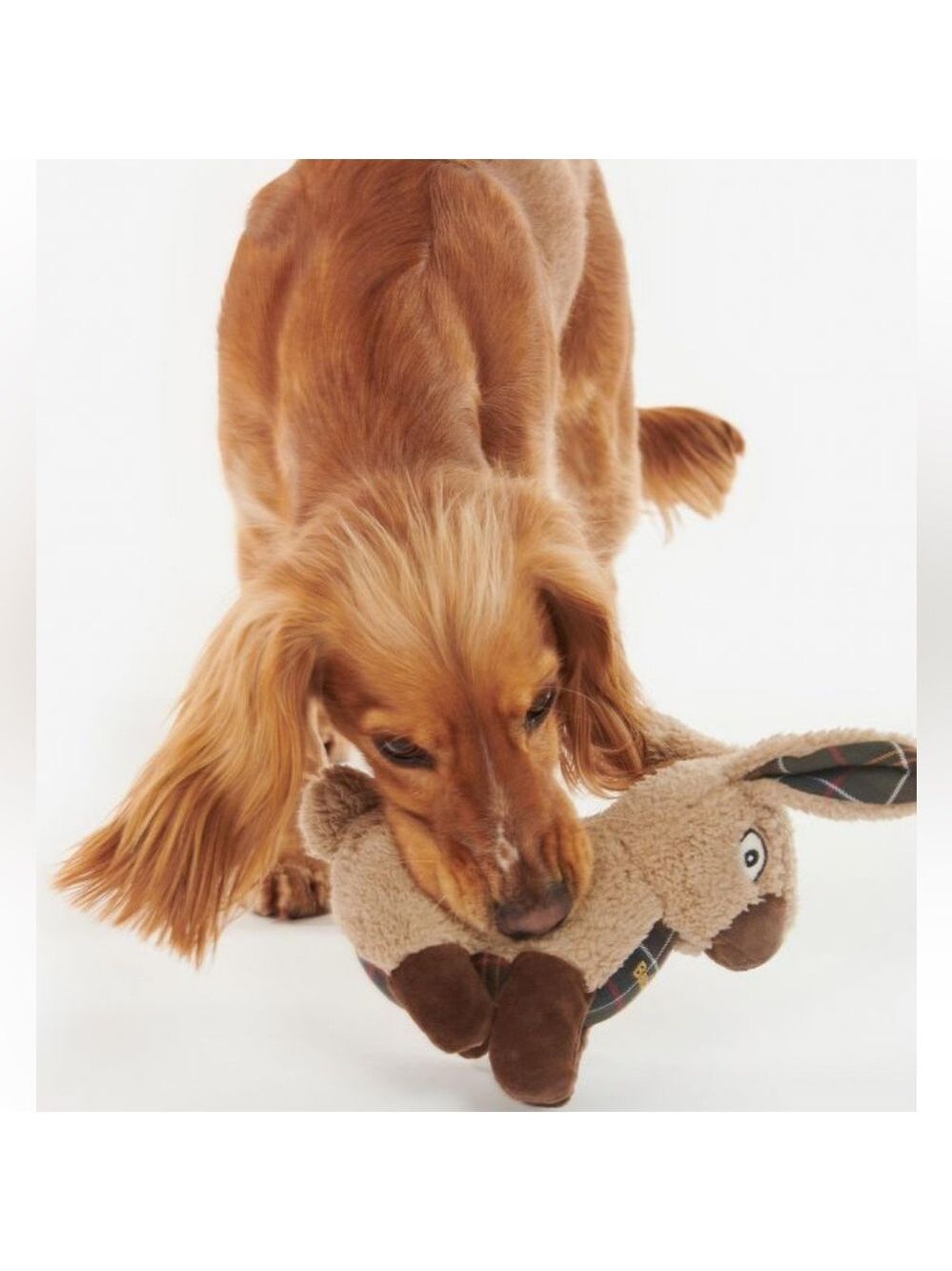 Barbour Dog Toy Rabbit Plaid Stuffed Logo Squeaker Dog Toy 🐾Best Friend - Picture 9 of 10